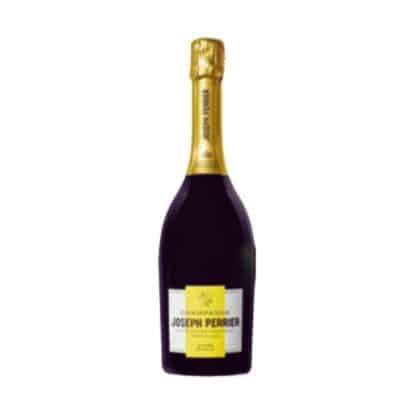 Joseph Perrier Cuvée Royale Brut Champagne – French premium party and gift champagne from Goldenacre Wines.